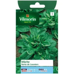 Mâche verte Vilmorin de Louviers