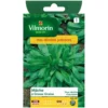 Mâche Vilmorin grosse graine - petit sachet