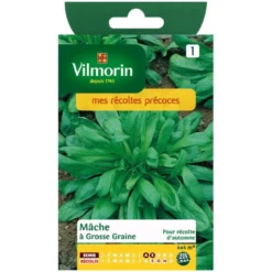 Mâche Vilmorin grosse graine - petit sachet