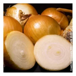 Oignon jaune 250g - Calibre 8/21