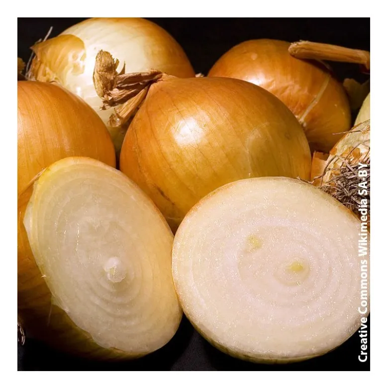 Oignon jaune 250g - Calibre 8/21