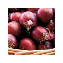 Oignon rouge "Red Baron" 500g - Calibre 14/21