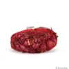 Oignon rouge "Red Baron" 250g - Calibre 14/21