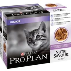 Pack chats-junior dinde sauce 10x85g - PURINA