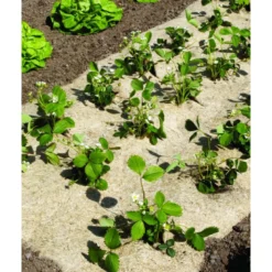 Paillage chanvre/lin 750 1.35x3m naturel - NORTENE