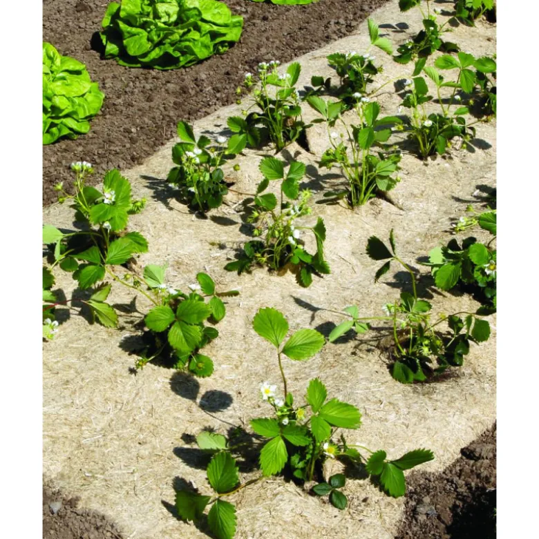 Paillage chanvre/lin 750 1.35x3m naturel - NORTENE