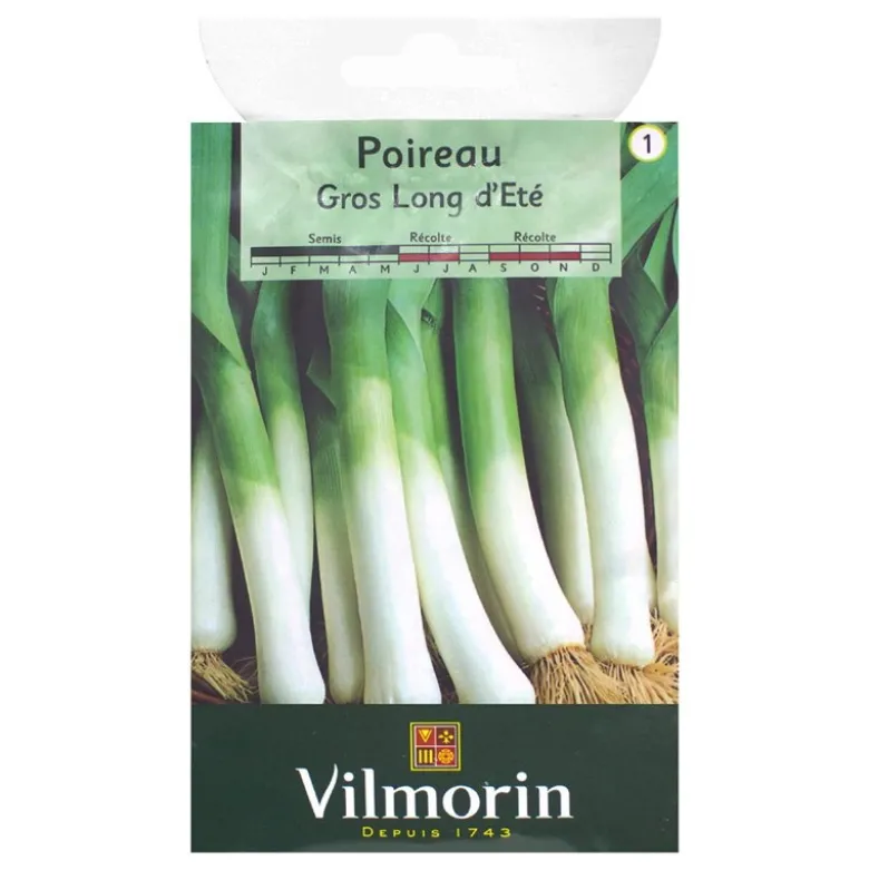Poireau gros long d'été