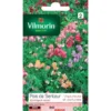 Pois de senteur "Korrigan" varié Vilmorin - 8g