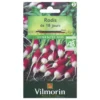 Radis de 18 jours bio