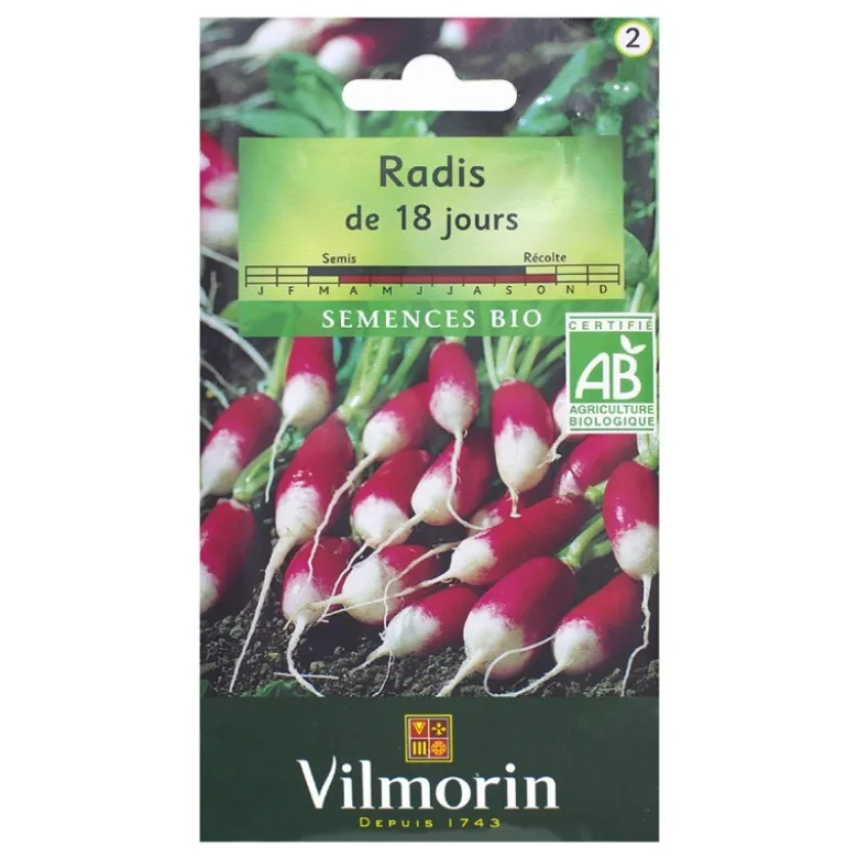 Radis de 18 jours bio