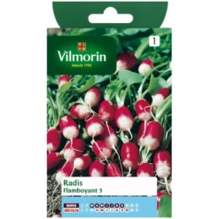 Radis flamboyant - petit sachet