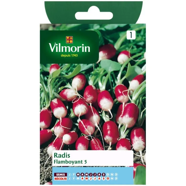 Radis flamboyant - petit sachet
