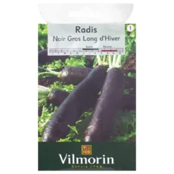 Radis noir gros d'Hiver