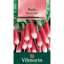 Radis Pernot clair