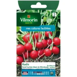 Radis rond Vilmorin écarlate géant de Würzbourg