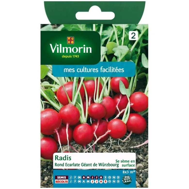 Radis rond Vilmorin écarlate géant de Würzbourg