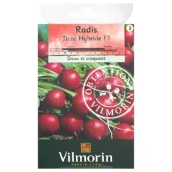 Radis Tinto HF1