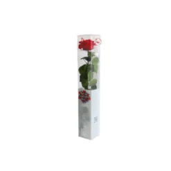 Rose premium rouge en coffret