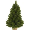 Sapin artificiel Camden burlap vert 60 cm - TRIUMPH TREE