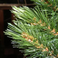 Sapin artificiel Forest frosted burlap vert 90 c - TRIUMPH TREE
