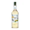 Sirop saveur gingembre 1 L - GIFFARD