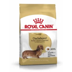 Teckel Adult breed health nutrition 1.5kg - ROYAL CANIN