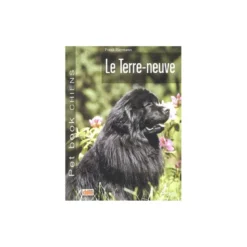 Terre - Neuve
