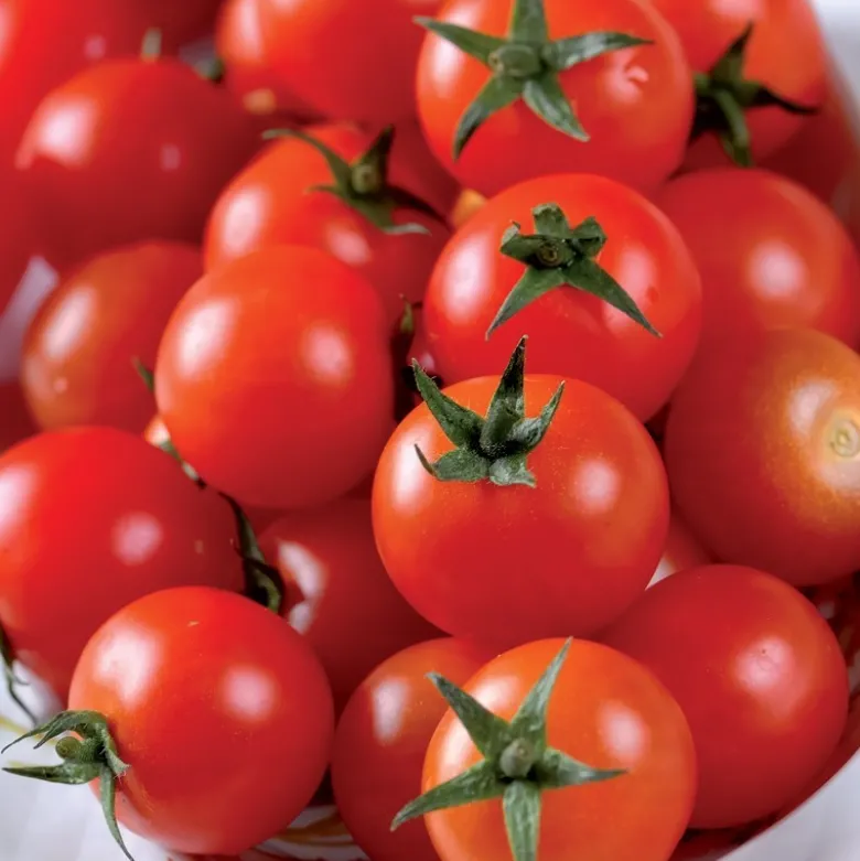 Tomate cerise - ø10cm