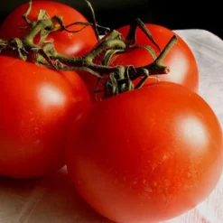 Tomate Fournaise - Barquette de 6
