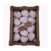 Truffes chocolat au lait et praliné bte 200g - LA FABRIQUE À BISCUITS HONFLEUR