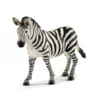 Zebrelle h13.5 - SCHLEICH