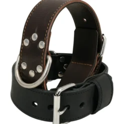 Zolux collier interv.nu t70 noir - ZOLUX